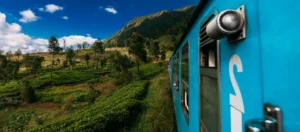 Blue train passing through tea plantations on the Kandy to Ella railway in Sri Lanka